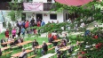 gostje oziroma publika