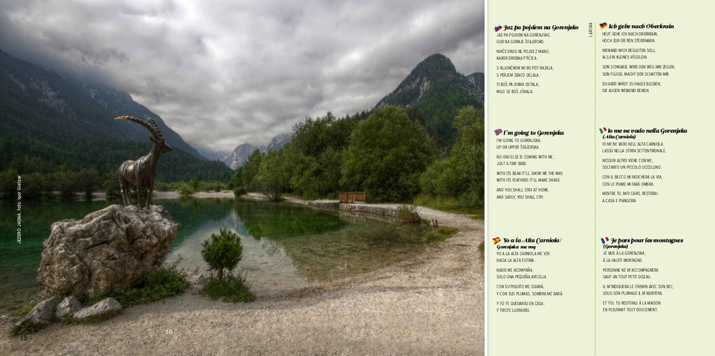 knjiga Čudovita si, Slovenija!