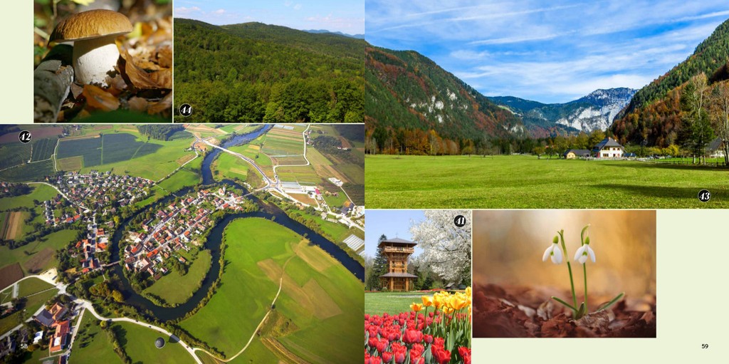 knjiga Čudovita si, Slovenija!